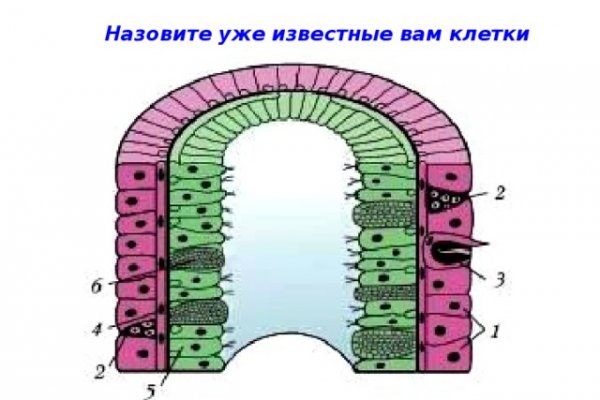 Ссылка на кракен оригинал