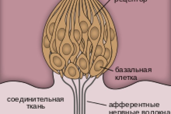Рабочее зеркало кракен store