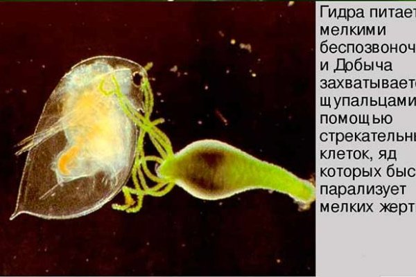 Kraken маркетплейс официальный