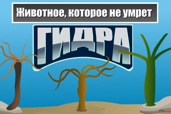 Кракен супернет вход