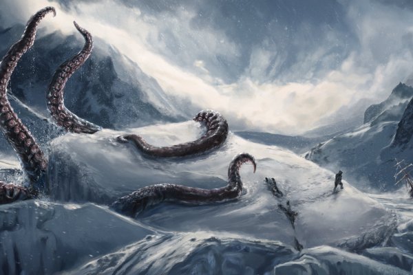 Kraken whitenet