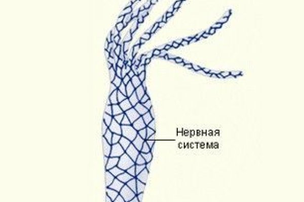 Kraken официальное зеркало kraken dark link