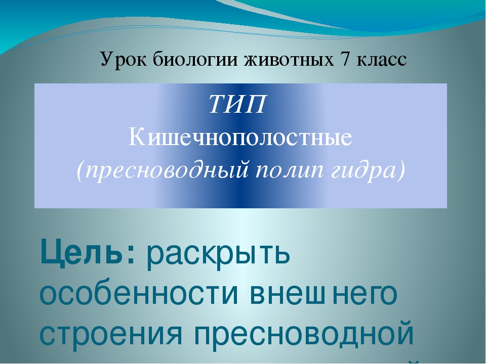 Войти супернет