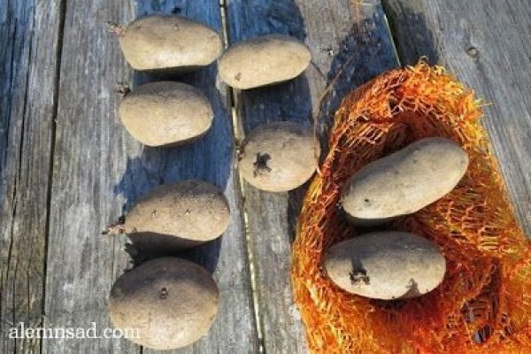 Супернет площадки