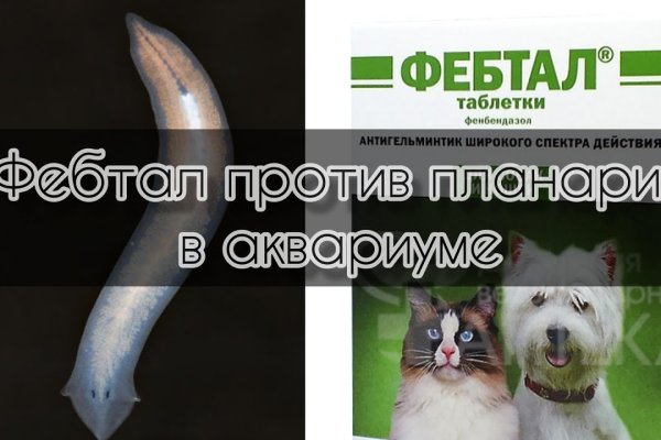 Зайти на сайт кракен