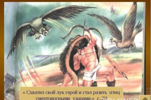 Кракен шоп что это